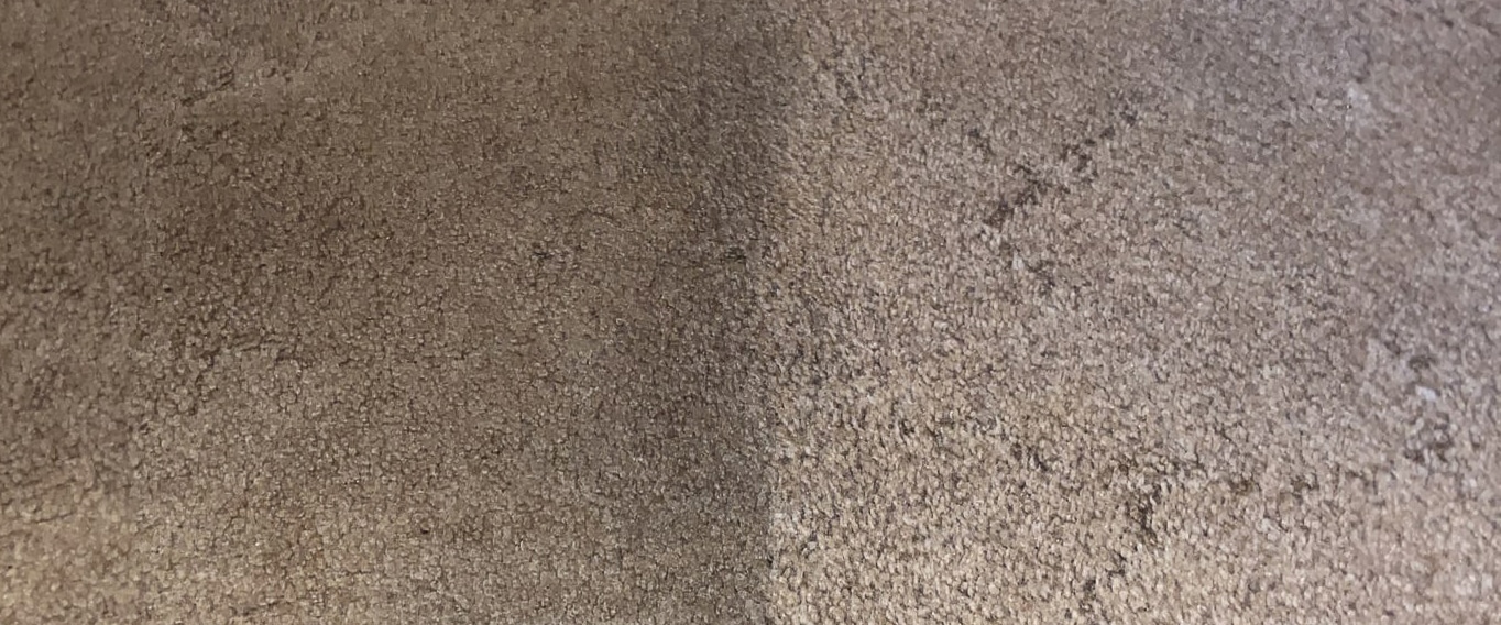 dirty carpet next to clean carpet